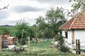JELA Countryside House